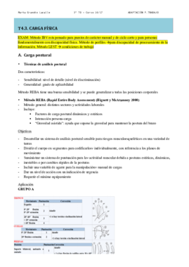 4c-Carga fisica.pdf