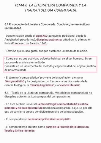 T6 Literatura y Traductología.pdf