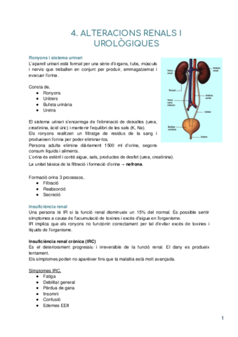 Tema-4-alteracions-renals-i-urologiques.pdf