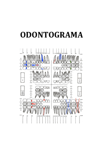 ODONTOGRAMA-Resumen.pdf