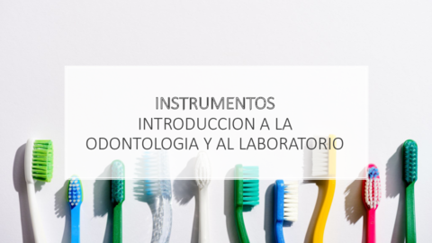 instrumentos-intro-a-la-odn-.pdf
