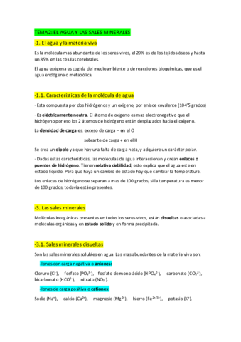 TEMA2.pdf