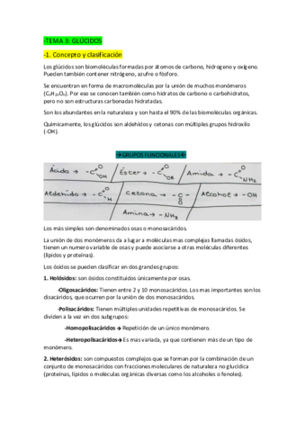 TEMA-3-biologia.pdf