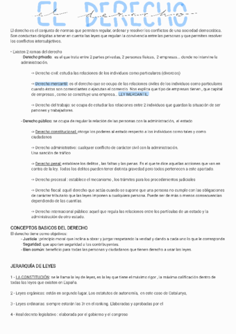 Temas 1r Parcial.pdf