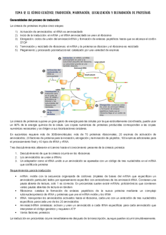 TEMA-12.pdf