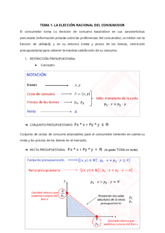 TEMA-1-MICRO.pdf