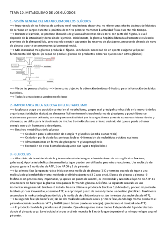 TEMA-10-BIOQUIMICA.pdf