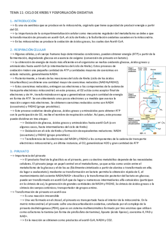 TEMA-11-BIOQUIMICA.pdf