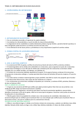TEMA-15-BIOQUIMICA.pdf