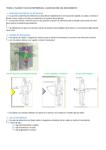 TEMA-3-KINESIOLOGIA.pdf