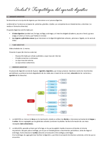 unidad-9-fisio.pdf