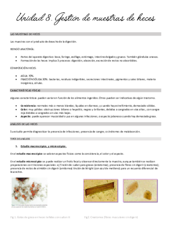 Unidad-8-gestion.pdf