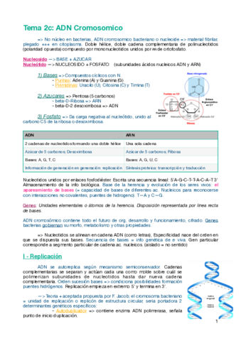 Tema-2c-ADN-cromosomico-.pdf