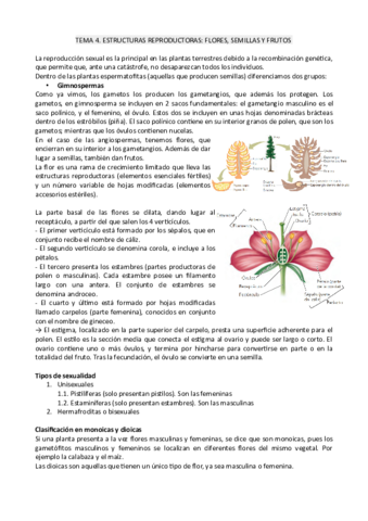 tema4botanica.pdf