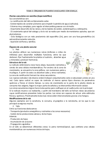 tema3botanica.pdf