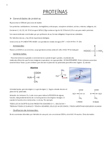 prot-resumen-.pdf