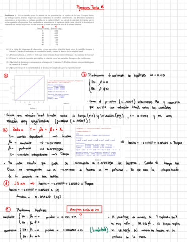 Ejercicios-Tema-6.pdf