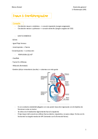 T5-cardiovascular-y-vascular.pdf