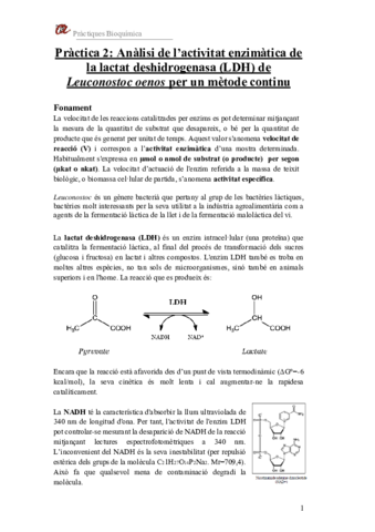 P2LDH21-22catalA-.pdf