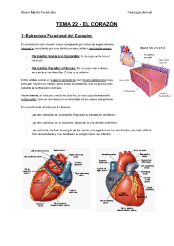 TEMA-22-EL-CORAZON.pdf