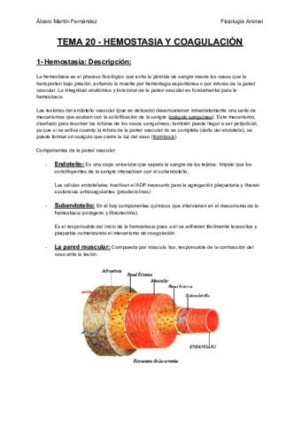 TEMA-20-HEMOSTASIA-Y-COAGULACION.pdf