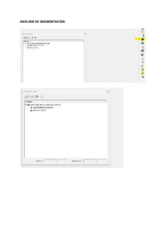Pasos-para-analisis-de-segmentacion.pdf