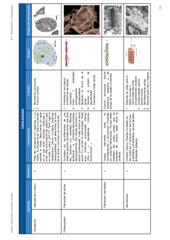 Organulos.pdf