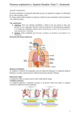 SISTEMA-RESPIRATORIO-Y-APARATO-FONADOR-Guia-3-Anatomia.pdf