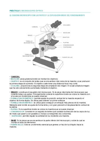Practicas-biologia-.pdf