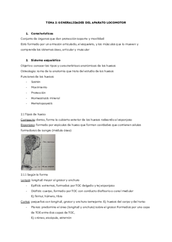 Anatomia-tema-2-generalidades-del-aparato-locomotor.pdf