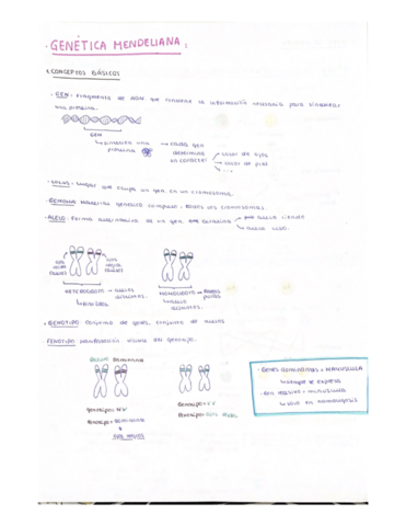 BLOQUE-3-parte-1.pdf