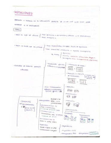 BLOQUE-3-parte-2.pdf