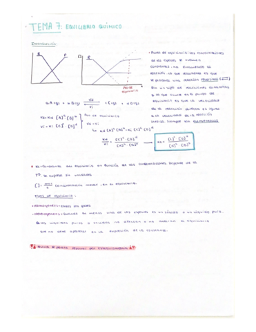 TEMA-7-EQUILIBRIO-QUIMICO.pdf