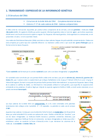 BIO-CELLULAR.pdf