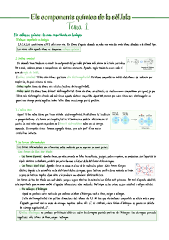 Els-components-quimics-de-la-cellula-Tema-1.pdf