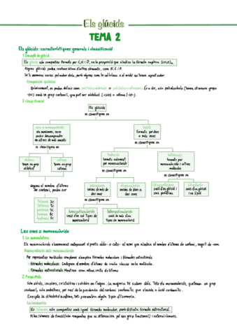 Els-glúcids-Tema-2.pdf