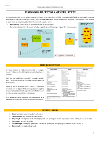 FisiologiaAnatomiaHistologia-del-SN-2n-parcial.pdf