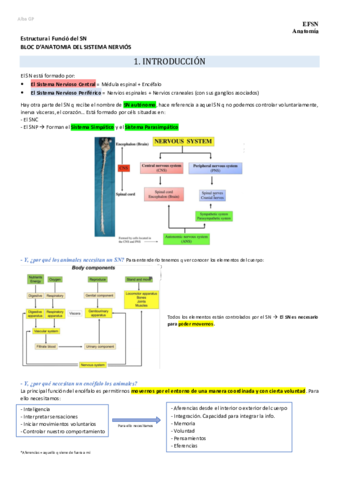 Bloque-Neuroanatomia-1r-parcial.pdf