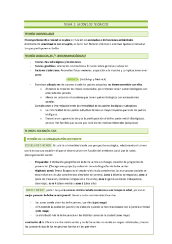 TEMA-2.pdf