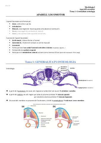 Aparell-Locomotor.pdf