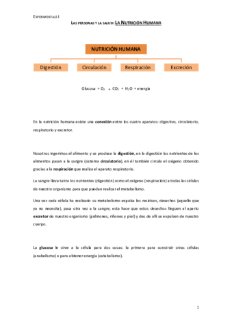 Nutricion-Humana-Digestion.pdf