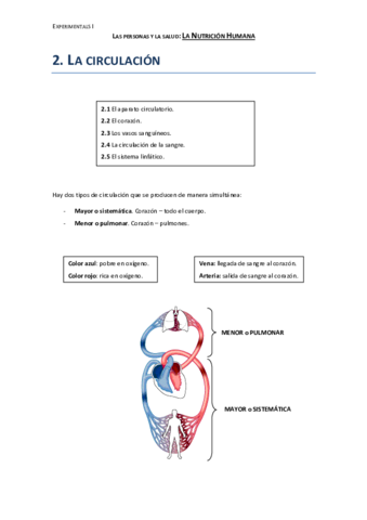 Circulacion.pdf