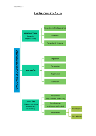 Esquema-las-personas-y-la-salud.pdf