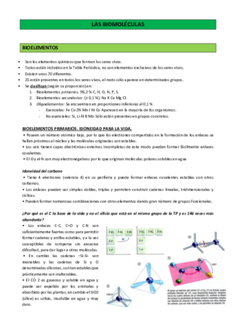 Bioquimica-1oBach.pdf