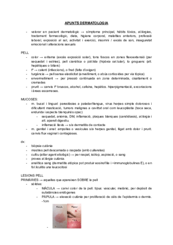 APUNTS-DERMATOLOGIA.pdf