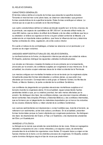 Copia-de-TEMA-RELIEVE.pdf