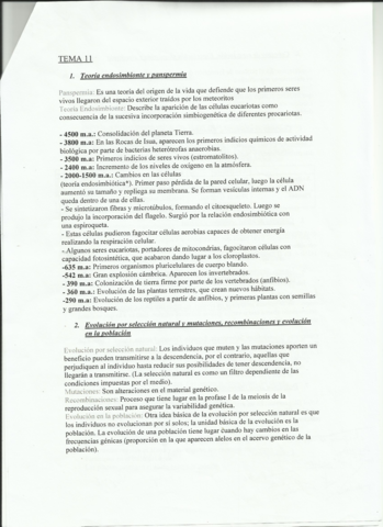 bio-1obach-T11-resumen-evolucion.pdf