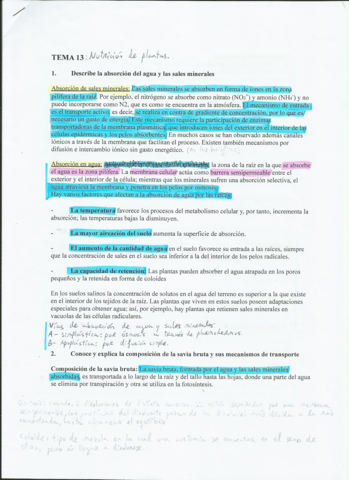 Resumen-nutricion-en-plantas-T13.pdf