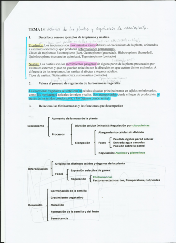 T14-funcion-de-relacion-y-hormonas-en-plantas.pdf