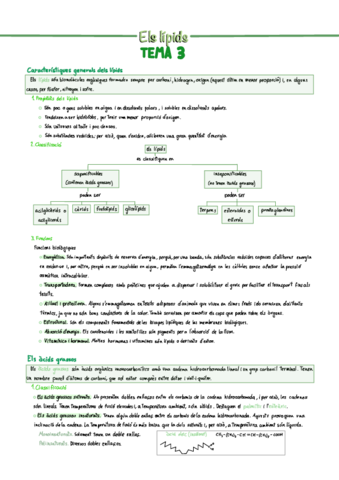 Els-lipids-Tema-3.pdf